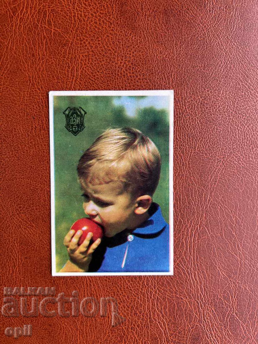 DZI Calendar 1973 DZI Calendar 1973