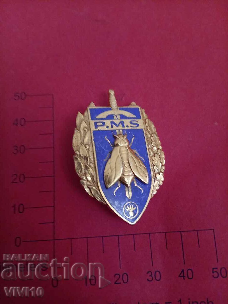 Insigna veche Franța