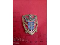 Antique French Badge, Military