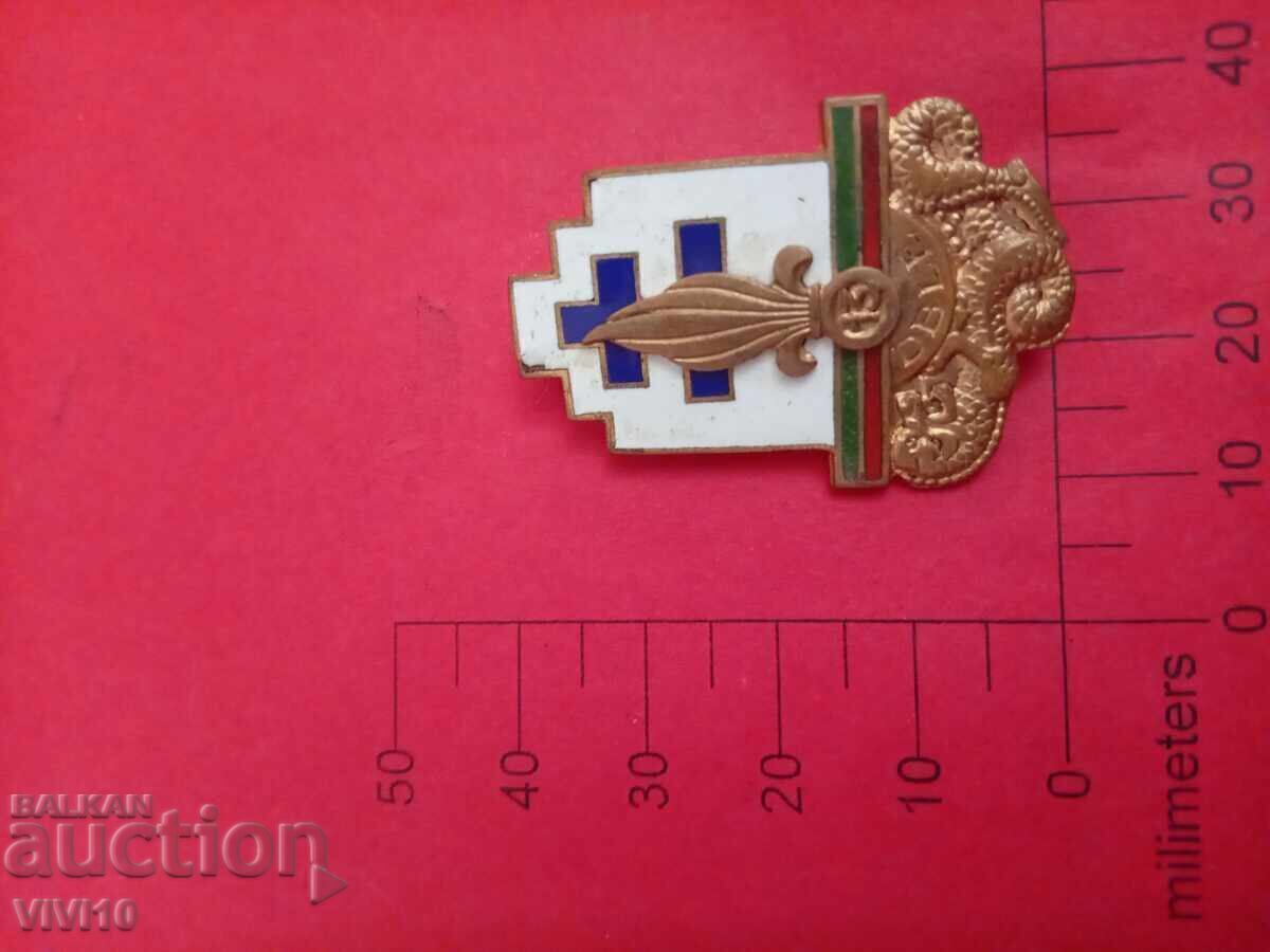 Antique Badge France