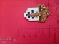 Antique Badge France
