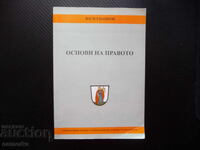 Bazele dreptului teorie publică privat autor copyright constituțional