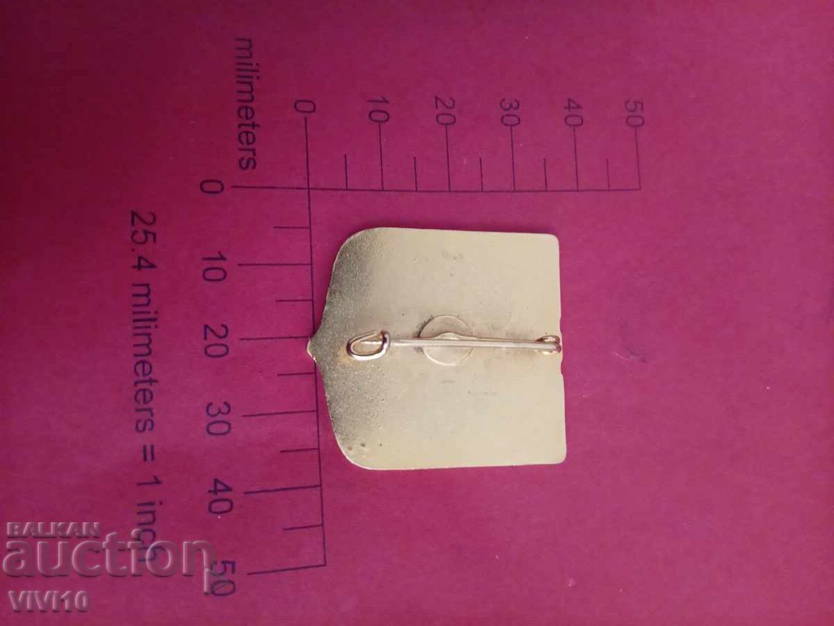 Старинна значка Франция с цена € 25.00 | 48.90 лв.