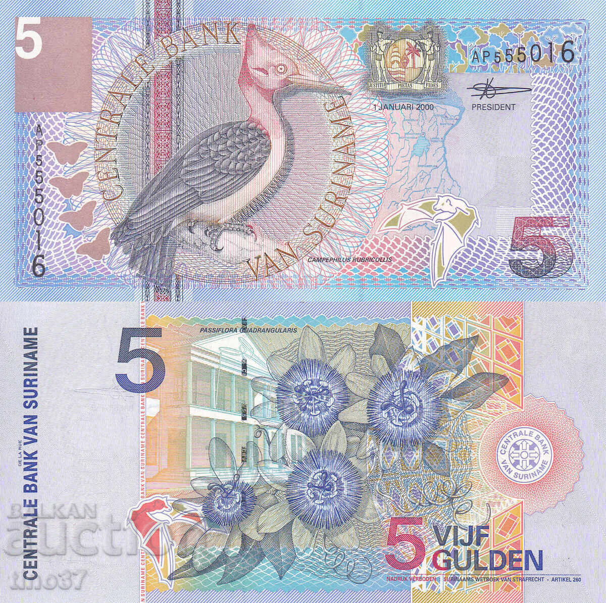tino37- SURINAME - 5 GUILDENS - 2000 - UNC