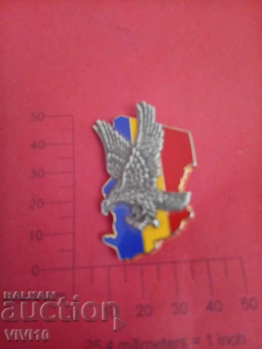 Antique French Badge, Enamel