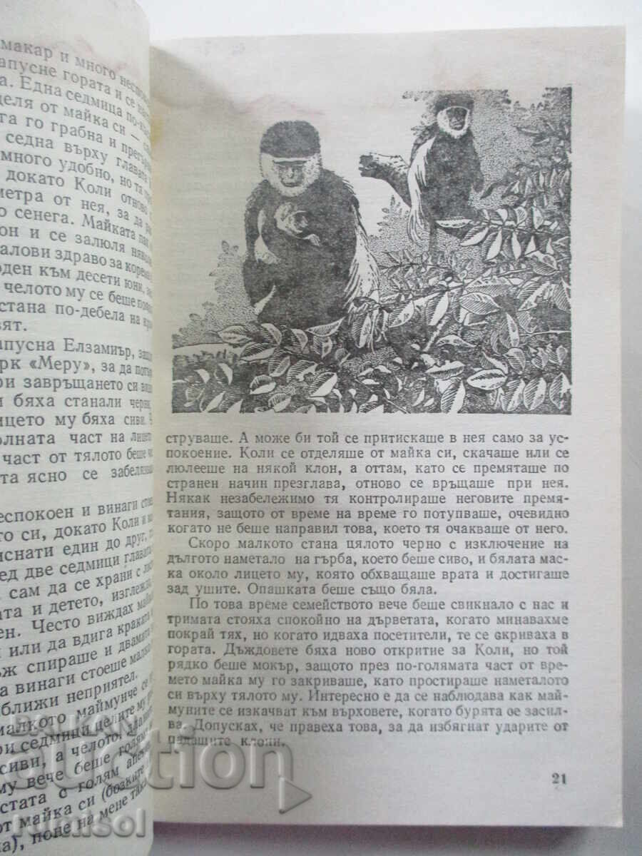 Παράδοση Forest Friends - Joy Adamson Παράδοση Forest Friends - Joy Adamson