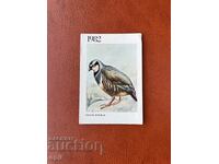 Ημερολόγιο Βραχοπούλι 1982