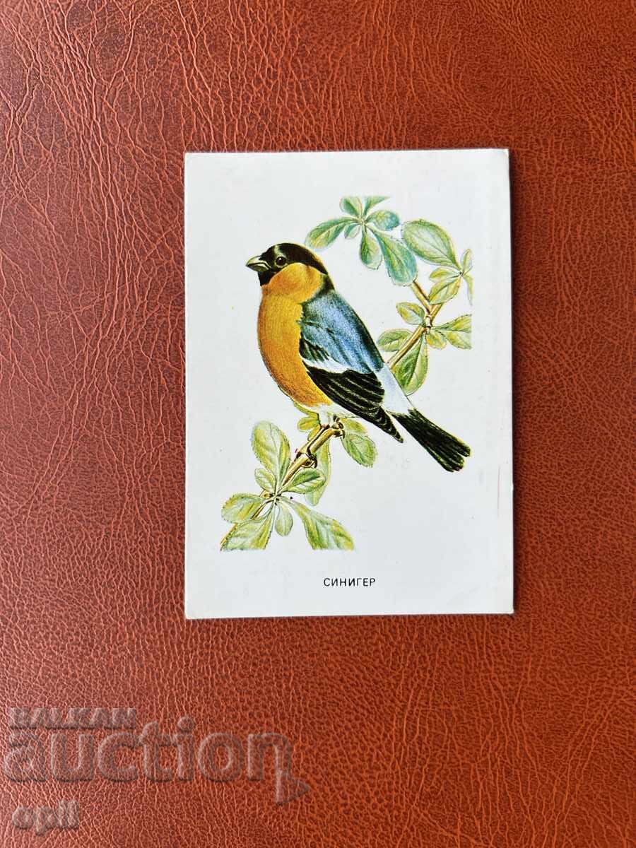 Calendar Siniger. 1983