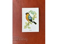 Ημερολόγιο Σπουργίτης. 1983