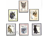 1964. Полша. Котки.