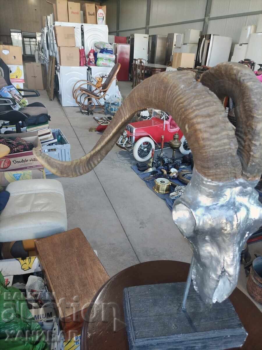 HUNTING TROPHY with price 180.00 BGN | € 92.03