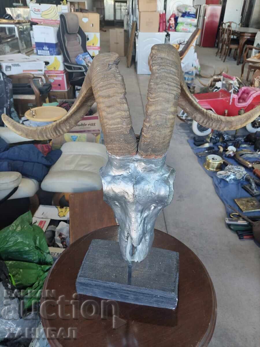 TROFEU DE VÂNĂTOARE