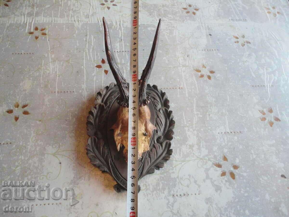 Unique hunting trophy wood carving 1927 with price 60.00 BGN | € 30.68