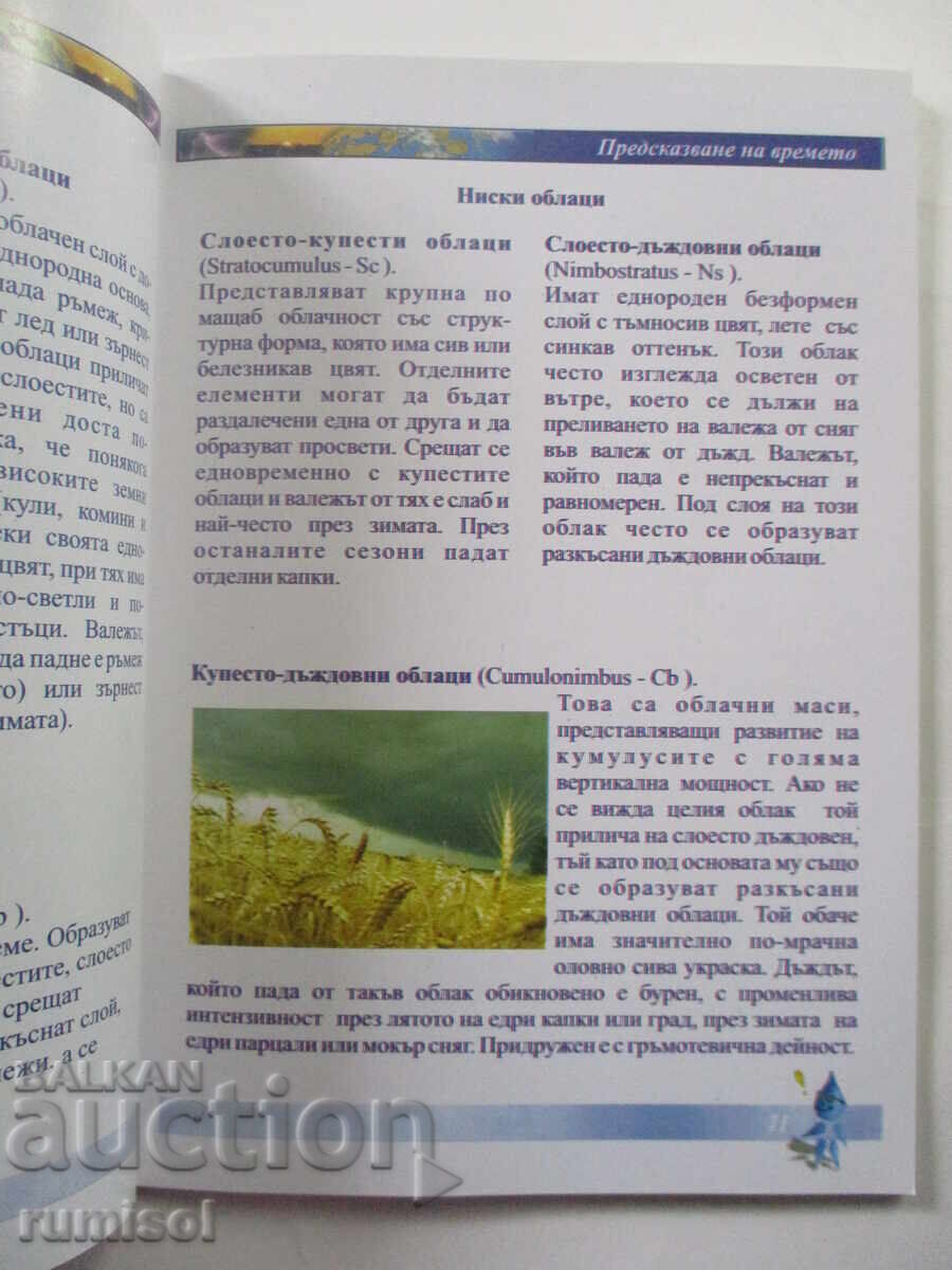 Weather Forecasting - 5