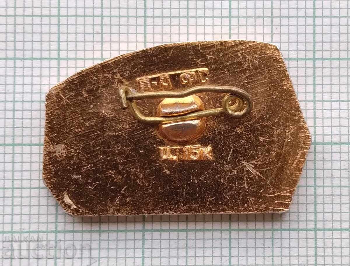 Auction 19063 Badge - First Five-Year Plan Auction 19063 Badge - First Five-Year Plan