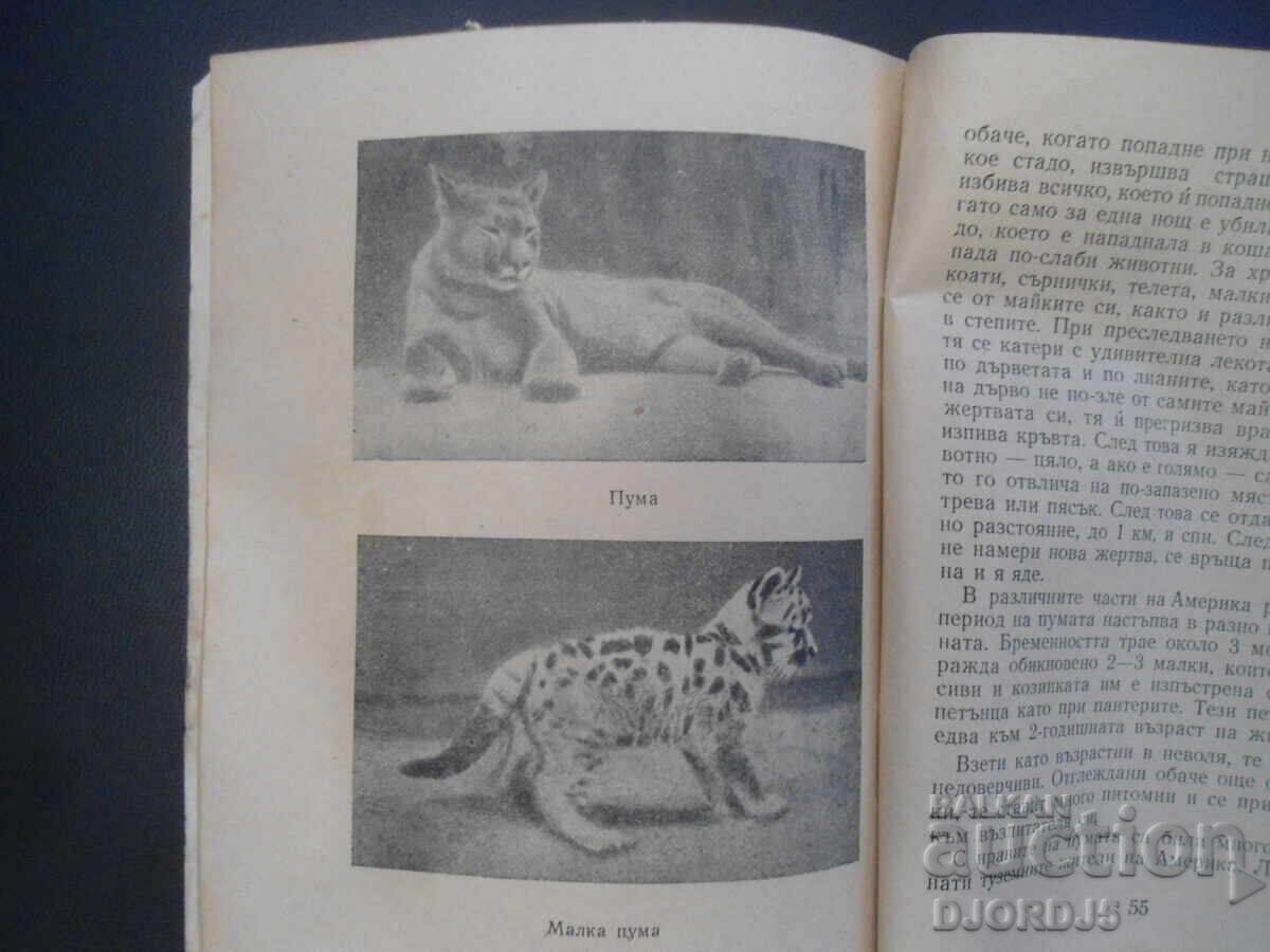 Delivery of Predatory Animals, Dr. Krastyo Tuleshkov