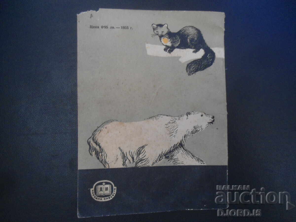 Θηρευτικά ζώα, Δρ. Κράστιου Τουλέσκωφ - 7