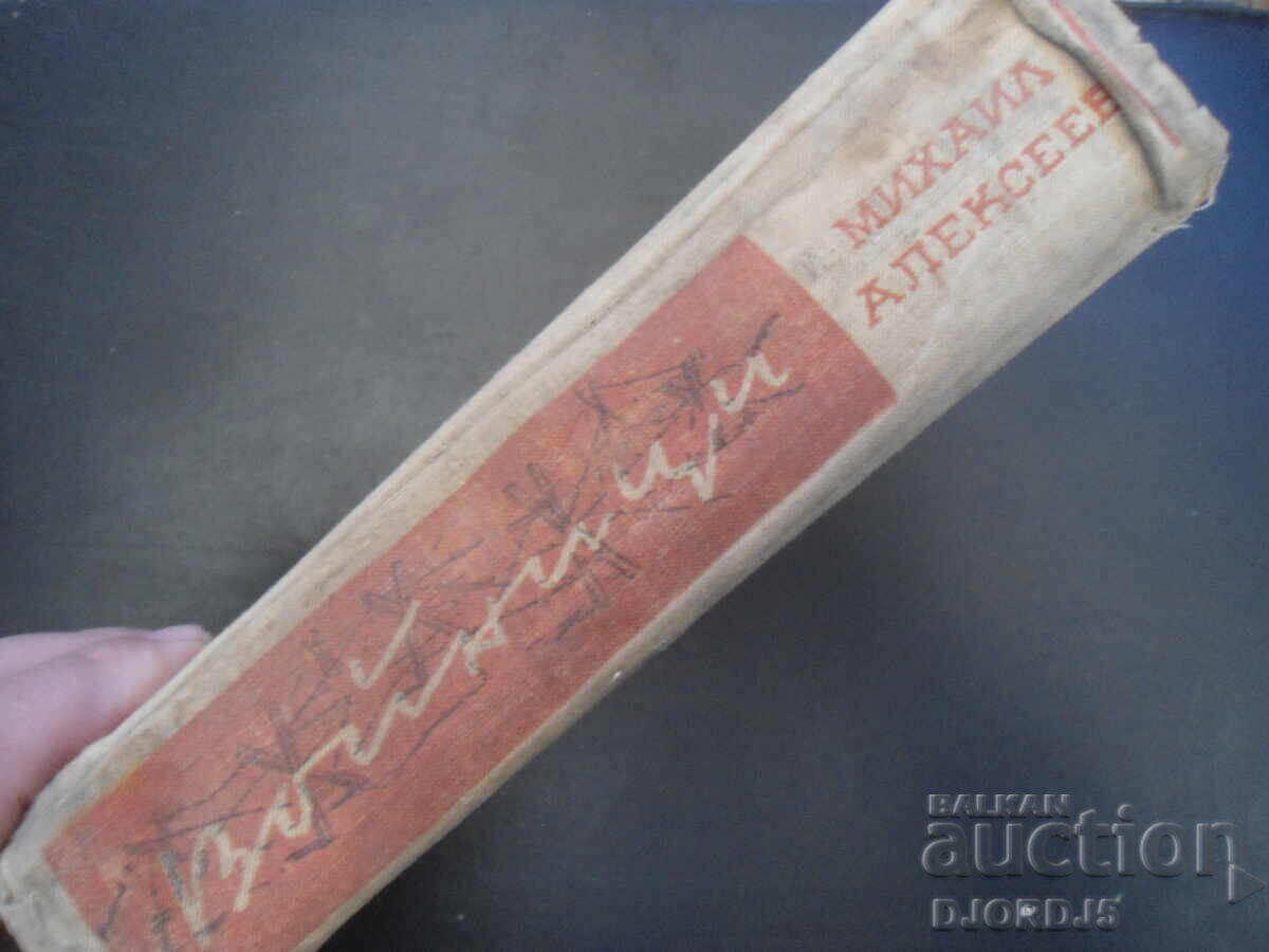 SOLDIERS, Mikhail Alekseev - 7