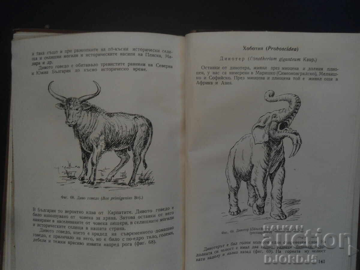 Παράδοση Θηλαστικά της Βουλγαρίας, Γεώργι Μαρκόφ Παράδοση Θηλαστικά της Βουλγαρίας, Γεώργι Μαρκόφ