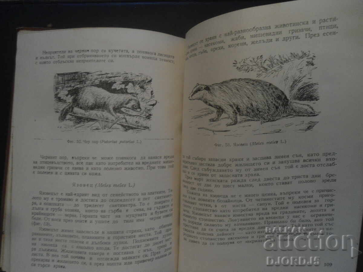 Θηλαστικά της Βουλγαρίας, Γεώργι Μαρκόφ - 5 Θηλαστικά της Βουλγαρίας, Γεώργι Μαρκόφ - 5