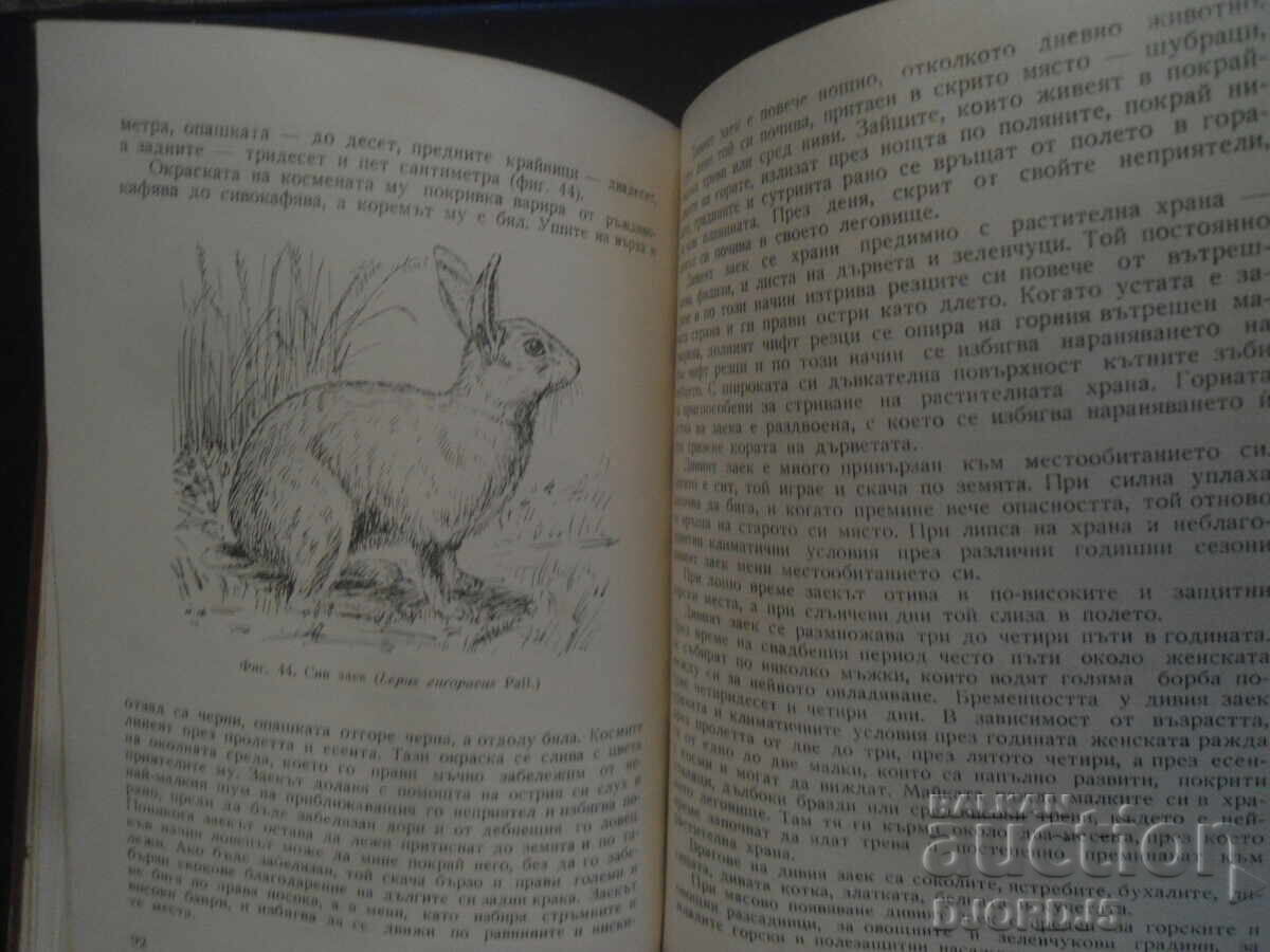 Θηλαστικά της Βουλγαρίας, Γεώργι Μαρκόφ - 6 Θηλαστικά της Βουλγαρίας, Γεώργι Μαρκόφ - 6