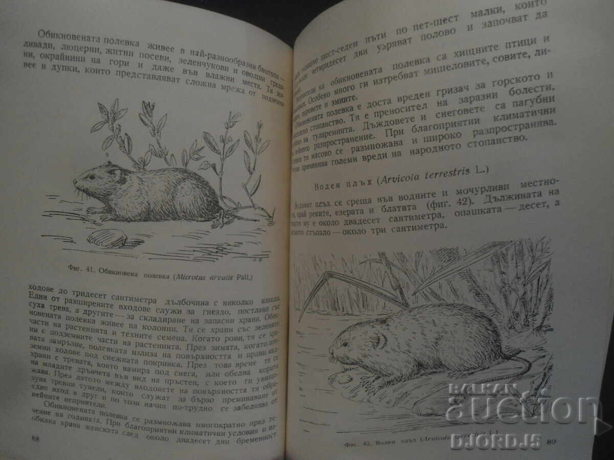 Θηλαστικά της Βουλγαρίας, Γεώργι Μαρκόφ - 7 Θηλαστικά της Βουλγαρίας, Γεώργι Μαρκόφ - 7