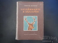 Θηλαστικά της Βουλγαρίας, Γεώργι Μαρκόφ