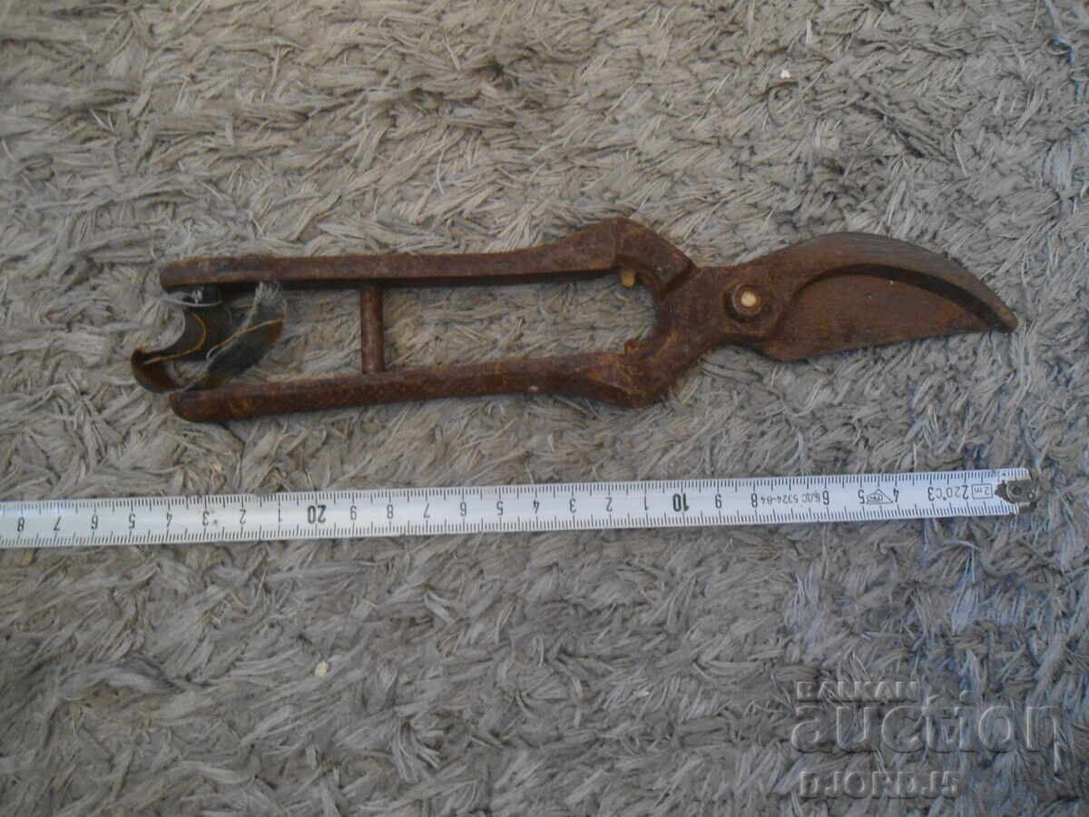 Delivery of Old vine shears