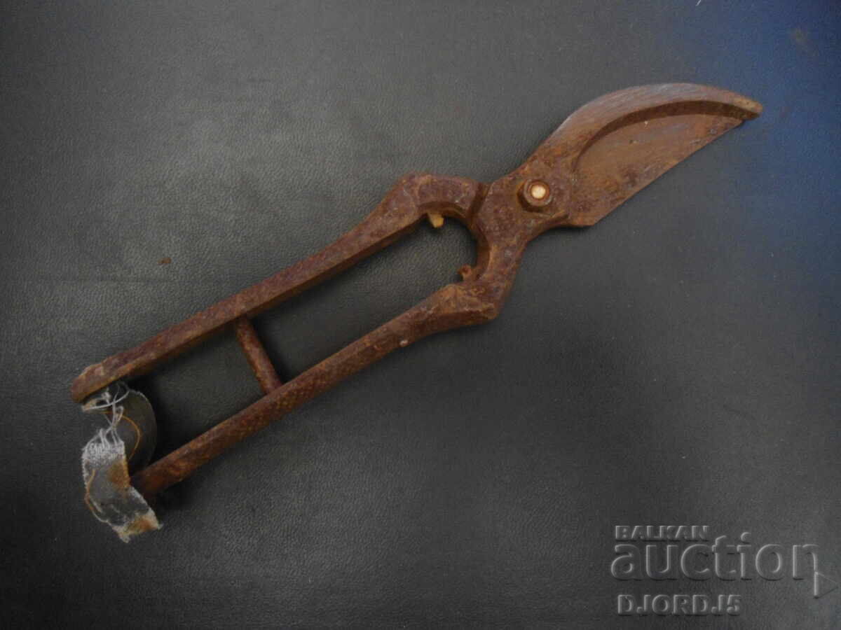 Old vine shears