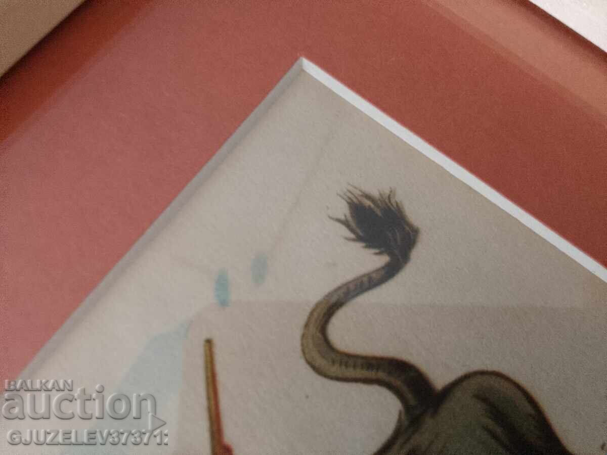 Две картинки корида матадор - 7