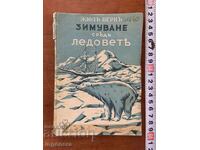 JULES VERNE - ZIMUIRE PRINTRE GHEȚURI