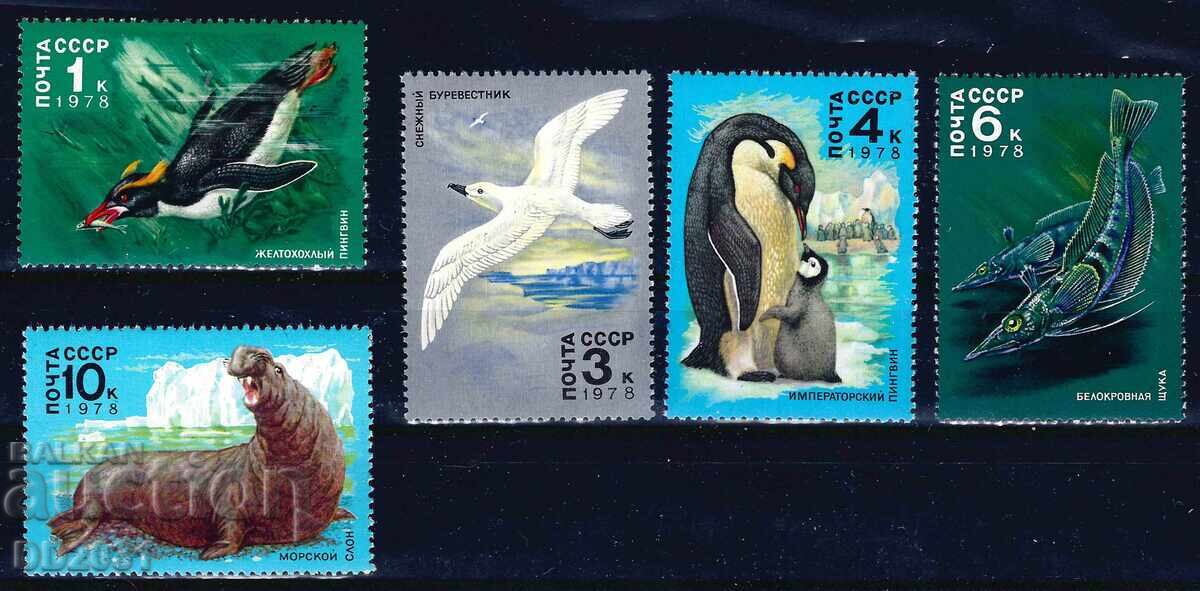ΕΣΣΔ 1978 - θαλάσσια πανίδα MNH