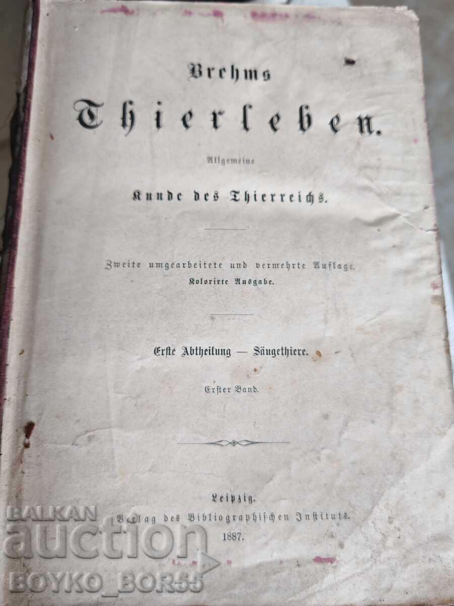 Delivery of Antique German Book "The Life of Animals" by Brehm, 1887