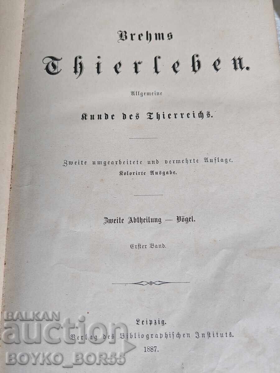 Antique German Book "The Life of Animals" by Brehm, 1887 - 6