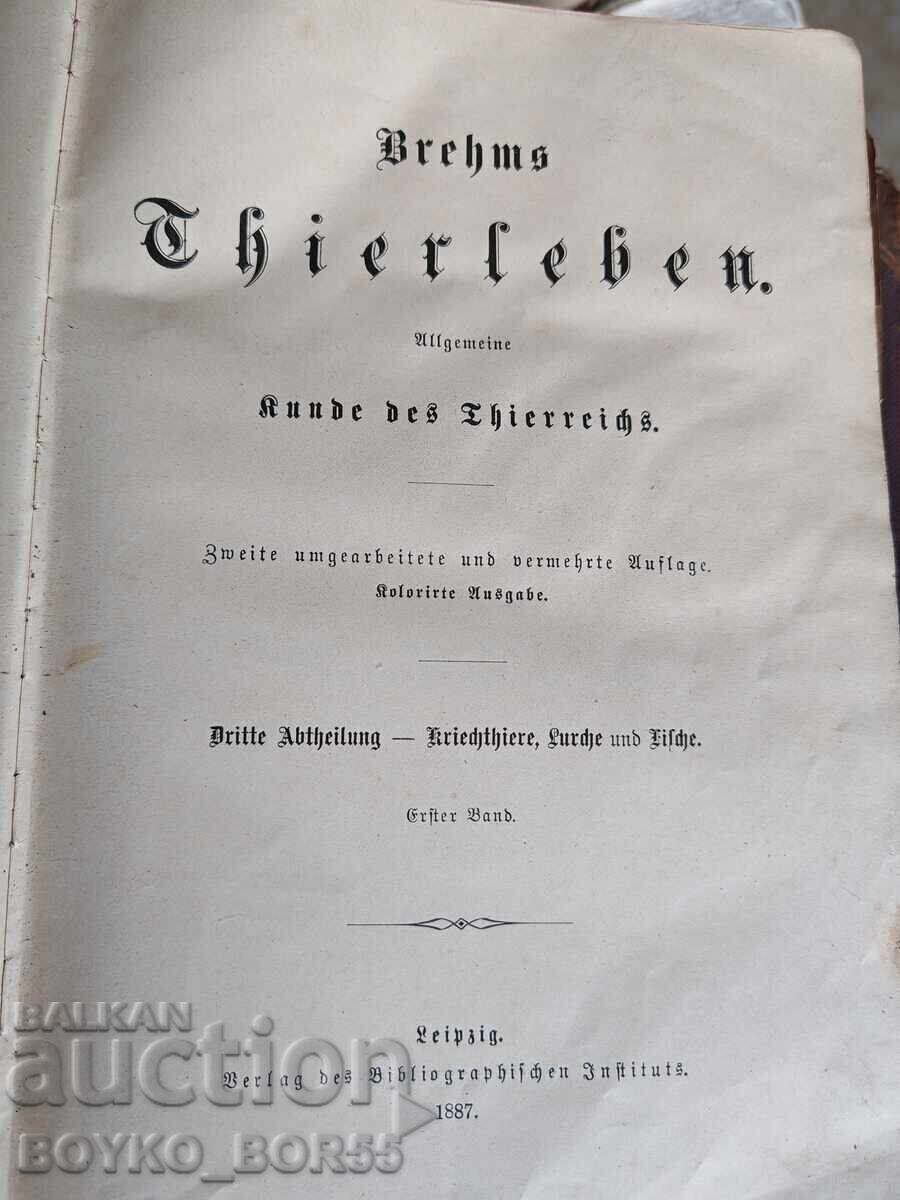 Antique German Book "The Life of Animals" by Brehm, 1887