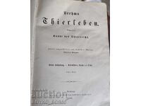 Antique German Book "The Life of Animals" by Brehm, 1887