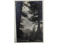 RAZLOG ΠΙΡΙΝ ΤΑΧΥΔΡΟΜΙΚΗ ΚΑΡΤΑ ΒΑΣΙΛΕΙΟ ΒΟΥΛΓΑΡΙΑΣ