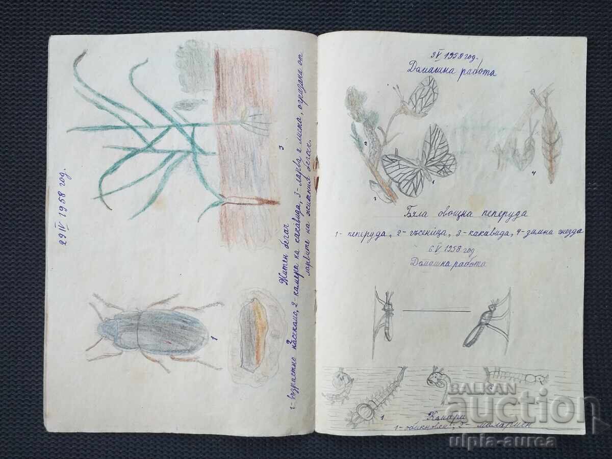 Τετράδιο κοινωνικών επιστημών με σχέδια με τιμή 1.80 BGN | € 0.92 Τετράδιο κοινωνικών επιστημών με σχέδια με τιμή 1.80 BGN | € 0.92