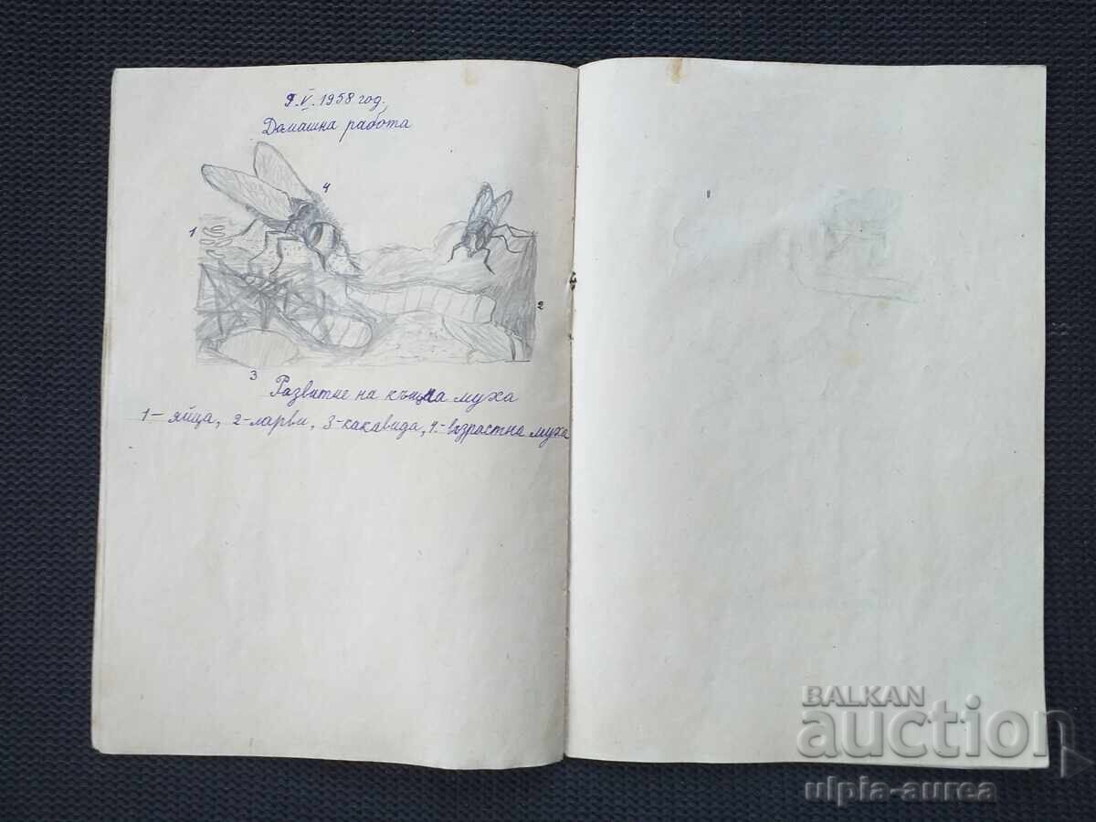 Δημοπρασία Τετράδιο κοινωνικών επιστημών με σχέδια Δημοπρασία Τετράδιο κοινωνικών επιστημών με σχέδια