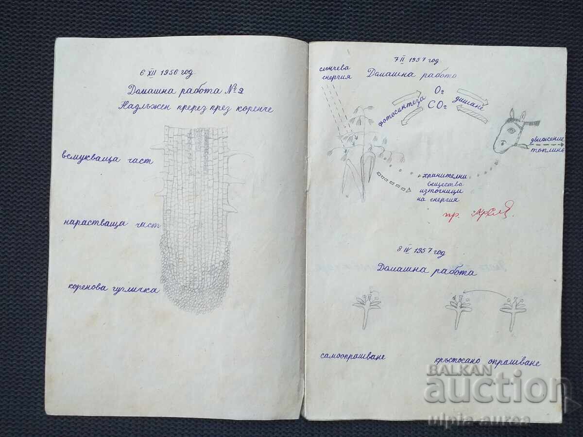 Παράδοση Τετράδιο κοινωνικών επιστημών με σχέδια Παράδοση Τετράδιο κοινωνικών επιστημών με σχέδια