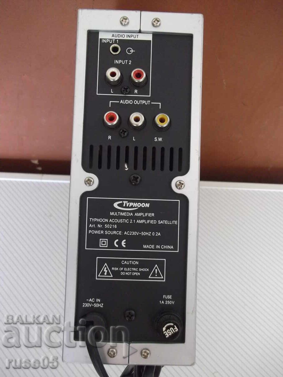 Delivery of Subwoofer "TYPHOON" working - 1