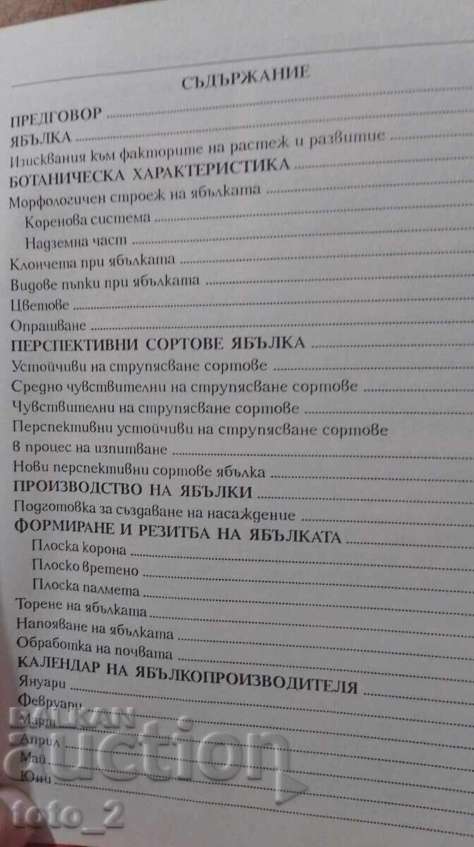 Production of Apples - Vasil Malinov - 6