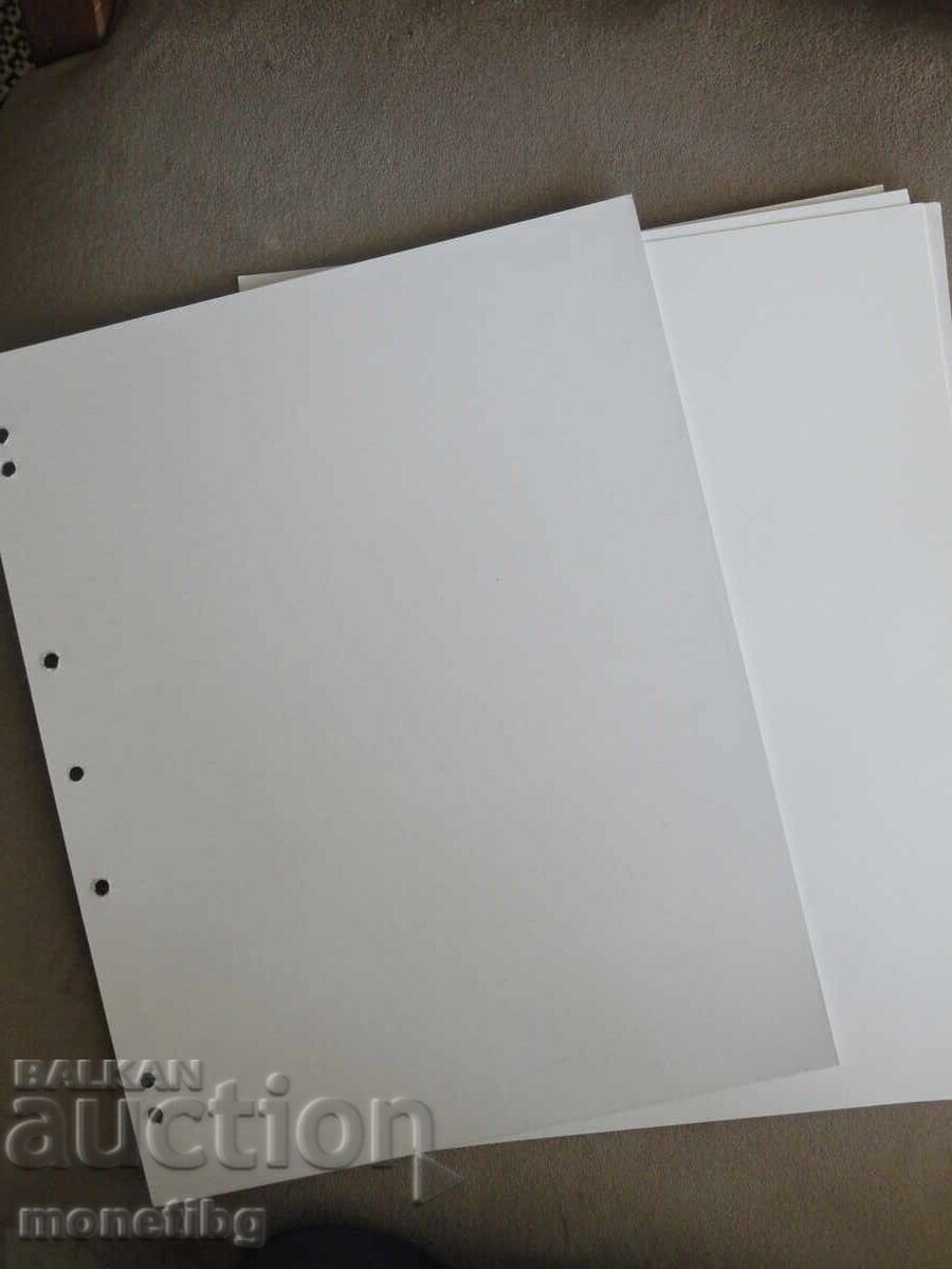 Διαχωριστικά φύλλα - Λευκά (τιμή ανά τεμάχιο) με τιμή 0.25 BGN | € 0.13 Διαχωριστικά φύλλα - Λευκά (τιμή ανά τεμάχιο) με τιμή 0.25 BGN | € 0.13