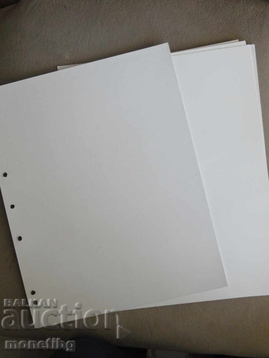 Licitație Foi de separare - Albe (preț per bucată) Licitație Foi de separare - Albe (preț per bucată)