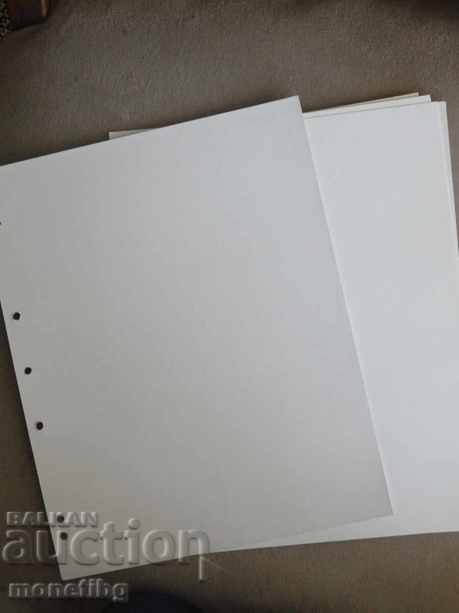 Foi de separare - Albe (preț per bucată) Foi de separare - Albe (preț per bucată)