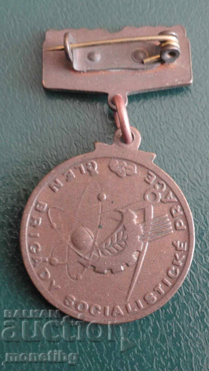 Czechoslovak Medal of the Socialist Labor Brigade - 6 Czechoslovak Medal of the Socialist Labor Brigade - 6