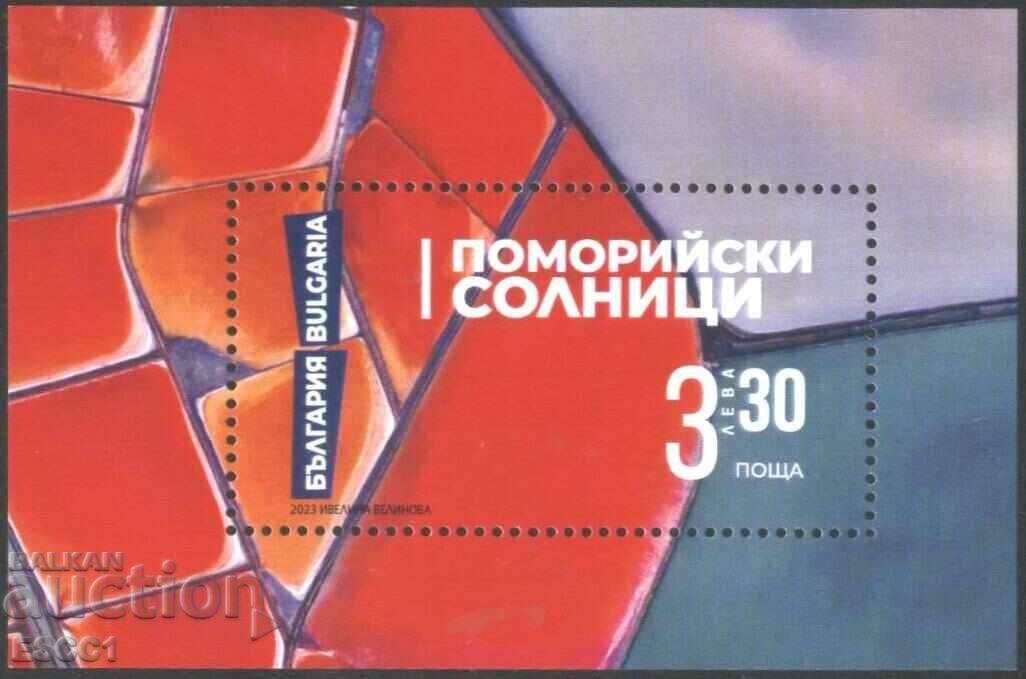 Clean block Pomorie Saltworks 2023 from Bulgaria