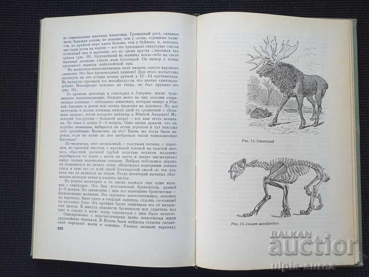 Auction Entertaining biology Auction Entertaining biology