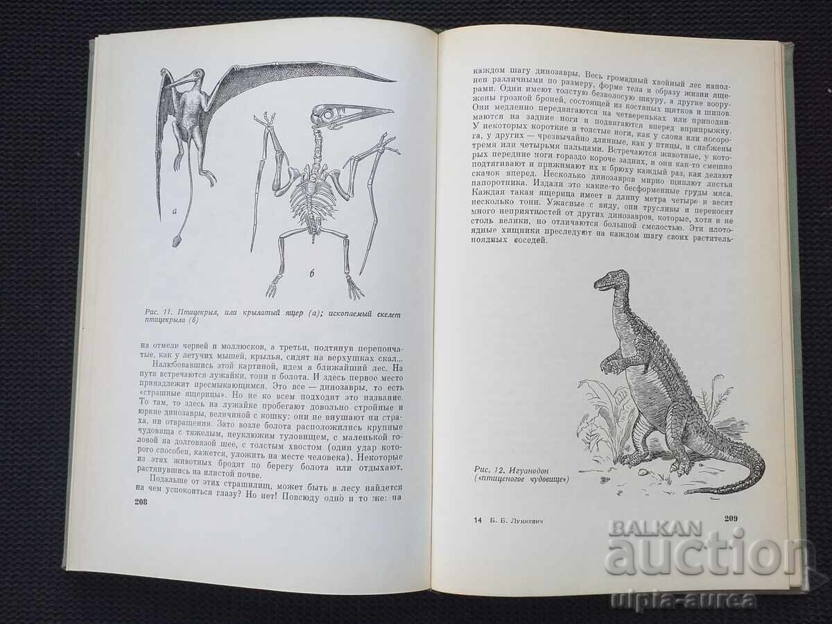 Delivery of Entertaining biology Delivery of Entertaining biology