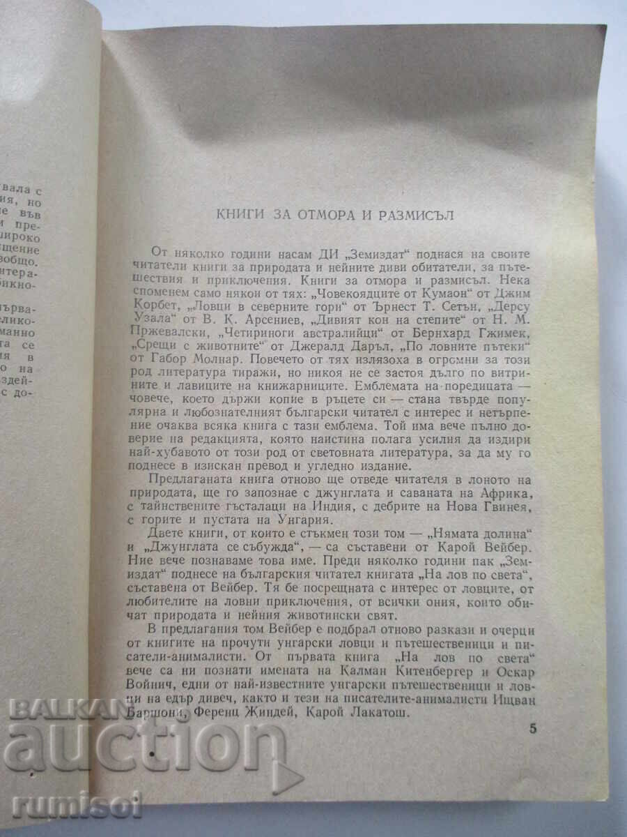 Auction The Nameless Valley - Károly Weiber Auction The Nameless Valley - Károly Weiber